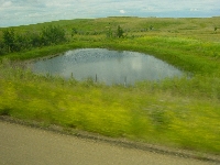 Heart pond (Look Like) - similarity