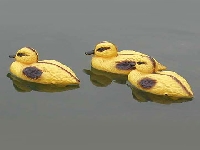 Duck (Human made) - similarity