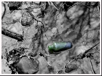 Pollution in sea (Pollution) - similarity