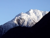 Heart relief (Look Like) - similarity