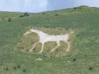 Alton white horse (Art) - similarity