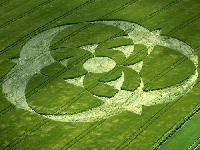 Preshute crop circle (Crop circle) - similarity