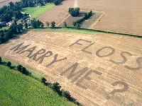 Marry me Tommy (Event) - similarity