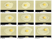 Eggs (Look Like) - similarity