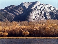 Heart (Landscape) - similarity