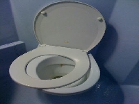 Toilet (Look Like) - similarity