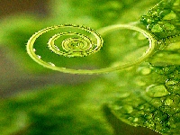 Heart (Look Like) - similarity