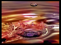 Drop (Look Like) - similarity