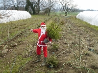 Natural shape or global shame ? (Pollution) - similarity