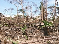 Lung damage (Pollution) - similarity