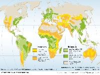 Lung damage (Pollution) - similarity