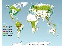 Lung damage (Pollution) - similarity