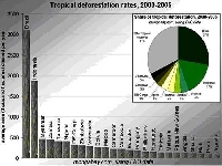 Men's fingerprint (Pollution) - similarity
