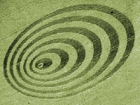 Crop circle ring (Crop circle) - similarity