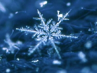 Snowflake (Look Like) - similarity
