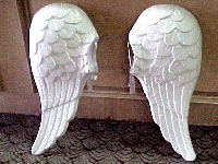 Retro wings (Army) - similarity