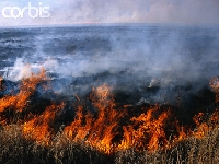 Burning front (Event) - similarity