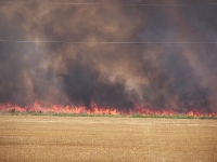 Burning (Event) - similarity