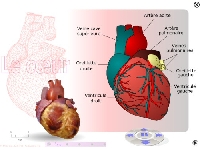 Heart (Look Like) - similarity