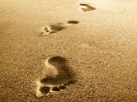 House place (Human made) - similarity