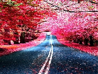 Flower road (Art) - similarity