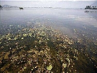 Dirty (Landscape) - similarity