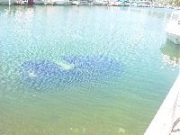 Underwater parking (Construction) - similarity