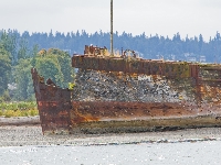 Mukilteo Shipwreck (Crash) - similarity