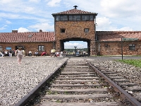 Auschwitz (War) - similarity