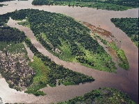 Pantanal (Landscape) - similarity