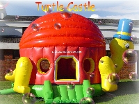 Turtle castle (Look Like) - similarity