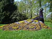 Giant peacock (Giant) - similarity