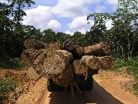 Deforestation in Tasmania 3 (Pollution) - similarity