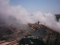  Deforestation in Tasmania 6 (Pollution) - similarity