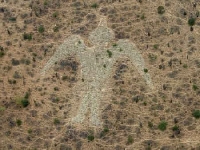 Geoglyph for plane (Sign) - similarity