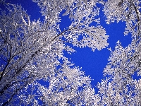 Ice and wind (Landscape) - similarity