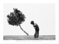 Tree (Art) - similarity