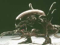 Alien (Look Like) - similarity