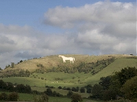 Westbury White Horse (Art) - similarity
