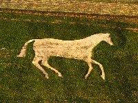 New Devizes White Horse (Art) - similarity