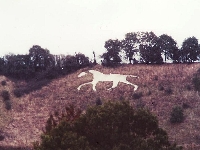 New Devizes White Horse (Art) - similarity