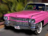 Pink Cadillac on roof (Transportation) - similarity