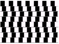 Optic illusion lines (Look Like) - similarity