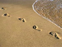 Sand curve (Human made) - similarity