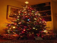 Christmas trees (Human made) - similarity