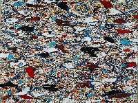 Landscape disorder (Landscape) - similarity