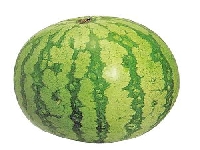 Watermelon (Look Like) - similarity