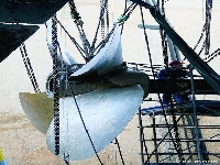 Essential (Transportation) - similarity