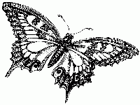 Butterfly (Construction) - similarity