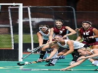 Cross (Sign) - similarity